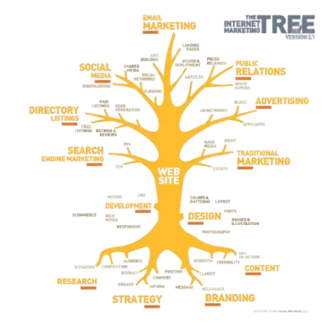 Top Digital Marketing Expert in Palakkad​